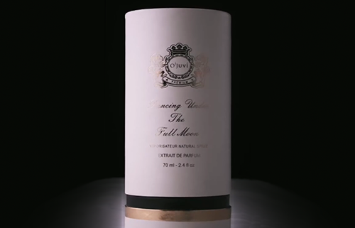 Купить франшизу